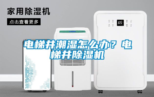電梯井潮濕怎么辦？電梯井除濕機