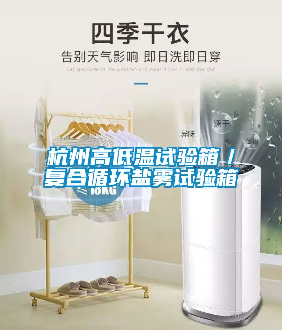杭州高低溫試驗箱／復合循環鹽霧試驗箱