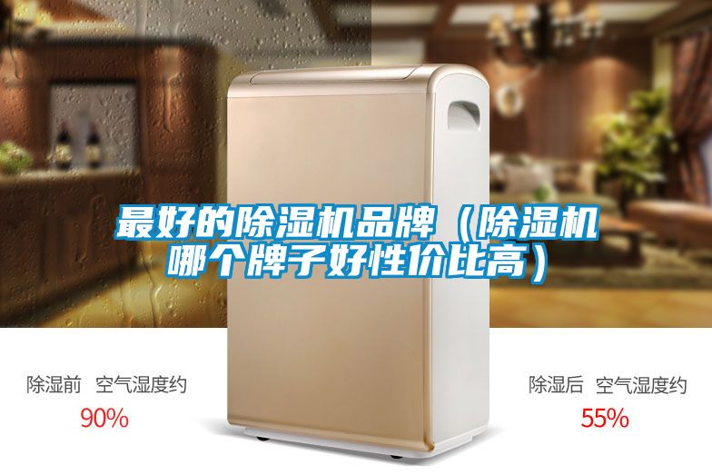 最好的除濕機品牌(除濕機哪個牌子好性價比高)