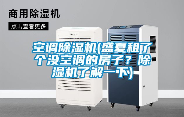 空調(diào)除濕機(jī)(盛夏租了個(gè)沒(méi)空調(diào)的房子?除濕機(jī)了解一下)