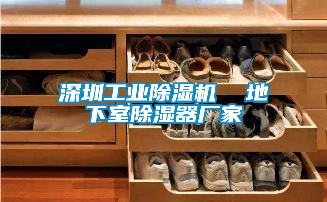深圳工業除濕機 地下室除濕器廠家