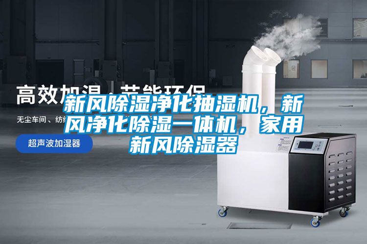 新風除濕凈化抽濕機，新風凈化除濕一體機，家用新風除濕器