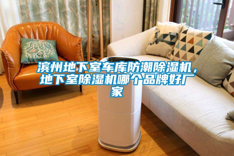 濱州地下室車庫防潮除濕機,地下室除濕機哪個品牌好廠家