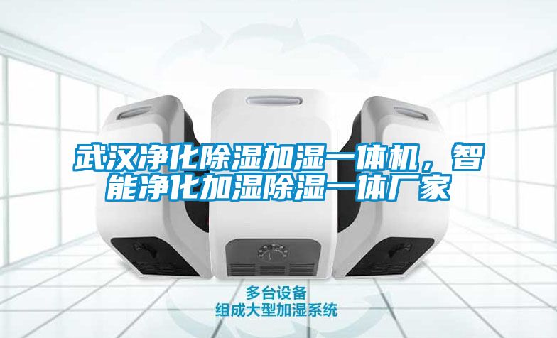 武漢凈化除濕加濕一體機,智能凈化加濕除濕一體廠家