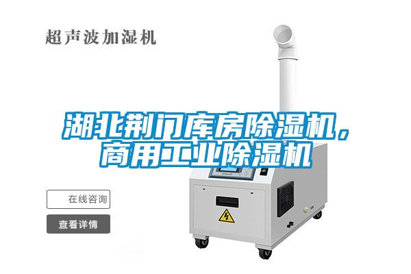 湖北荊門庫房除濕機,商用工業除濕機