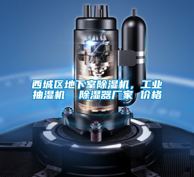 西城區(qū)地下室除濕機(jī),工業(yè)抽濕機(jī) 除濕器廠家 價(jià)格