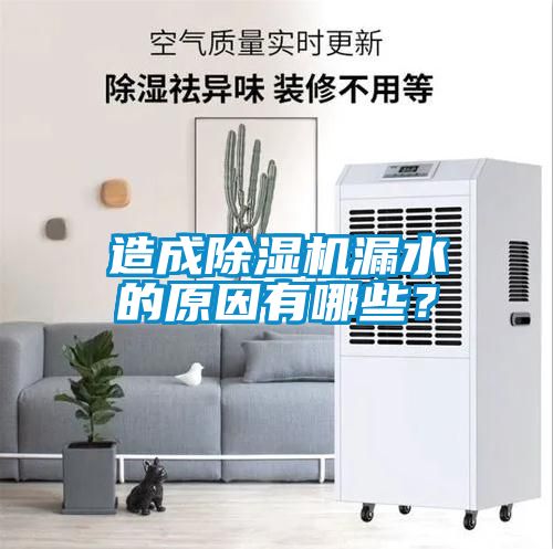 造成除濕機漏水的原因有哪些?