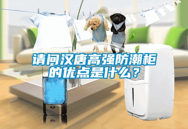 請問漢唐高強防潮柜的優(yōu)點是什么?