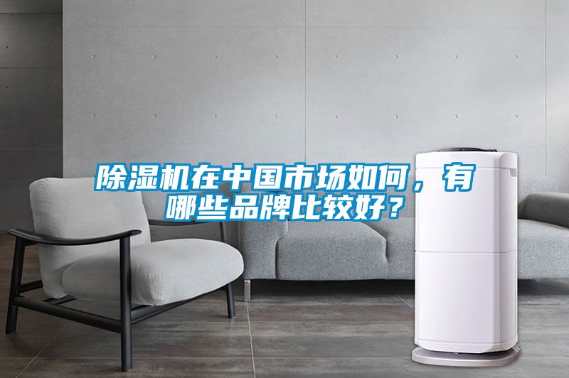 除濕機在中國市場如何，有哪些品牌比較好？