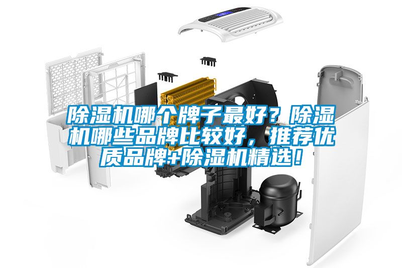 除濕機(jī)哪個(gè)牌子最好?除濕機(jī)哪些品牌比較好,推薦優(yōu)質(zhì)品牌+除濕機(jī)精選!