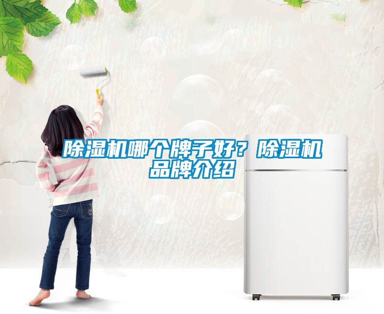 除濕機(jī)哪個(gè)牌子好？除濕機(jī)品牌介紹