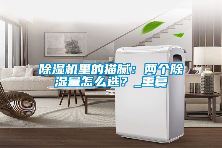 除濕機(jī)里的貓膩：兩個(gè)除濕量怎么選？_重復(fù)